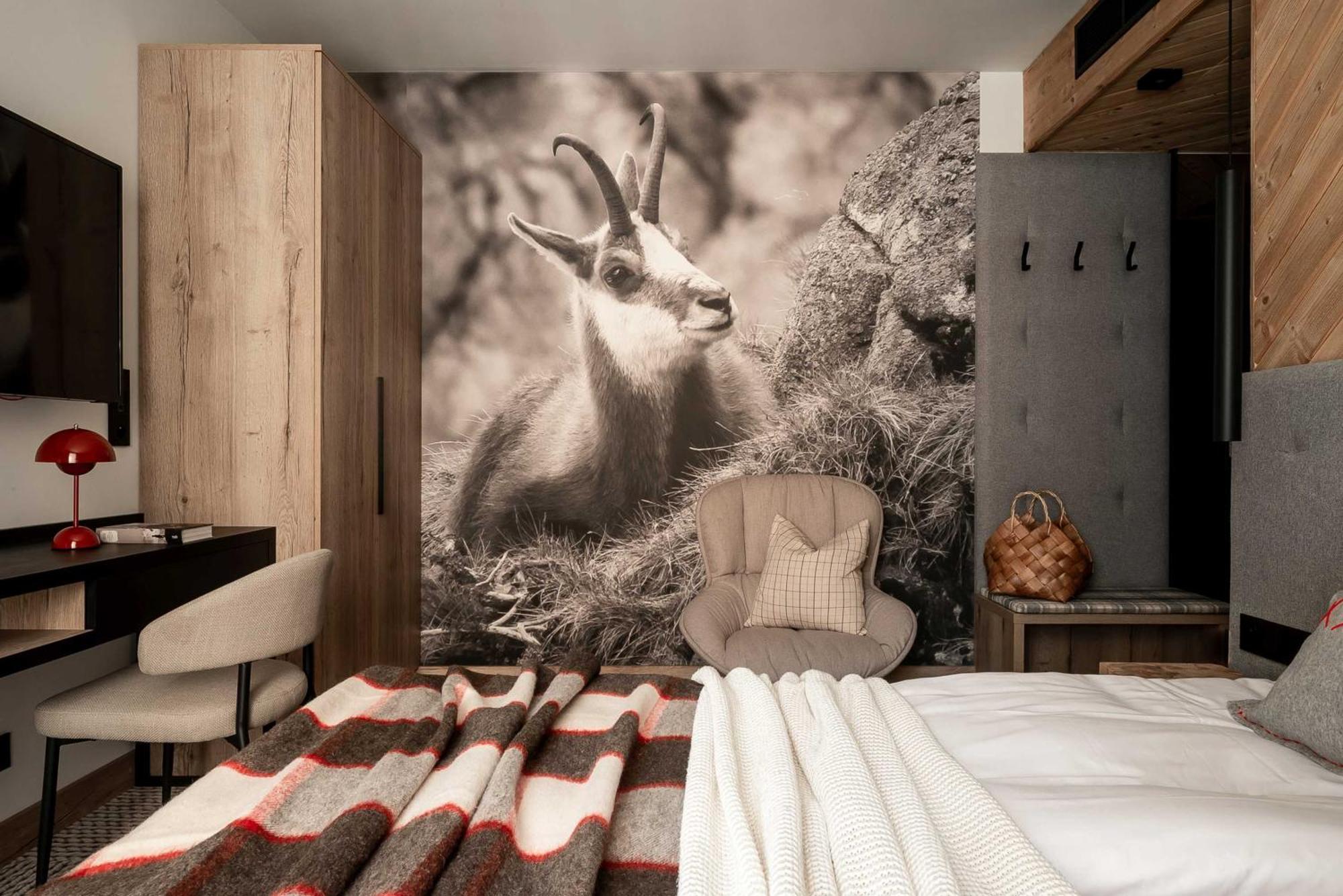 Stefanova Zakopane Aparthotel & Spa 외부 사진